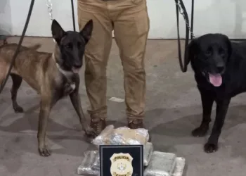 O Núcleo de Operações com Cães da Polícia Civil do Acre conta com três cães, dois em Rio Branco (Narco e Duke) da raça Labrador e um em Cruzeiro do Sul (Gana) da raça Belga Mallinois.