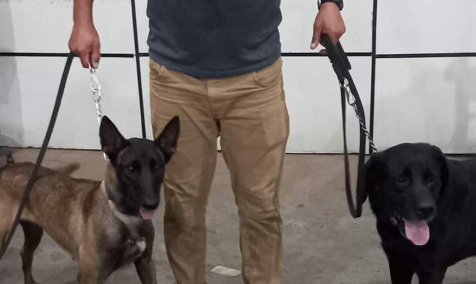 O Núcleo de Operações com Cães da Polícia Civil do Acre conta com três cães, dois em Rio Branco (Narco e Duke) da raça Labrador e um em Cruzeiro do Sul (Gana) da raça Belga Mallinois.