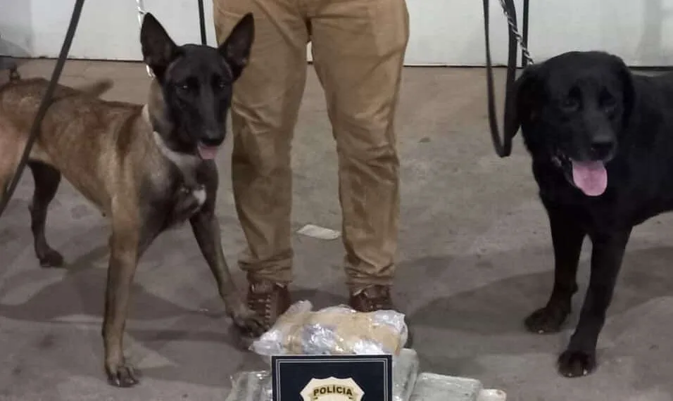 O Núcleo de Operações com Cães da Polícia Civil do Acre conta com três cães, dois em Rio Branco (Narco e Duke) da raça Labrador e um em Cruzeiro do Sul (Gana) da raça Belga Mallinois.