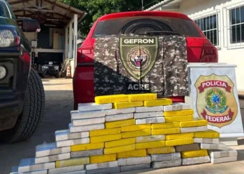 Forças de Segurança apreendem quase 70 quilos de cocaína e skunk na BR-317