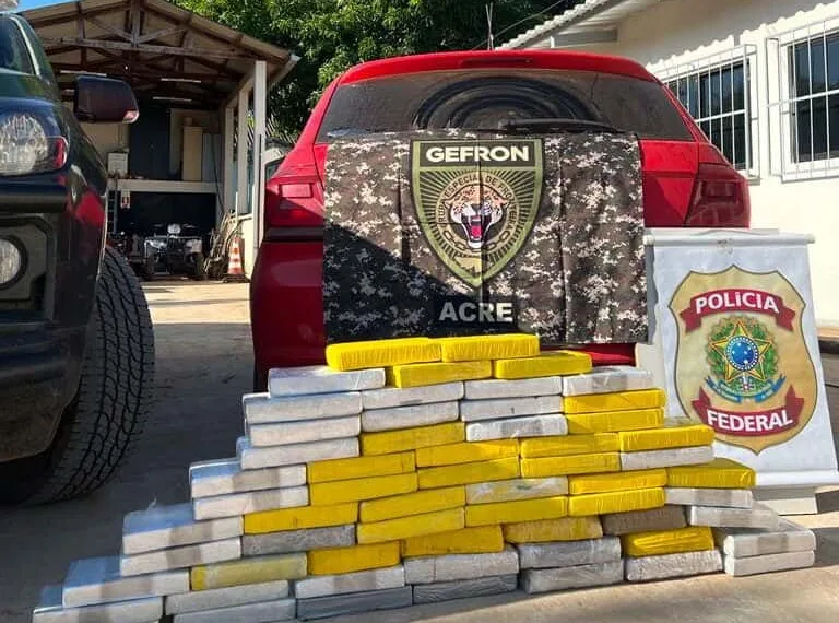 Forças de Segurança apreendem quase 70 quilos de cocaína e skunk na BR-317