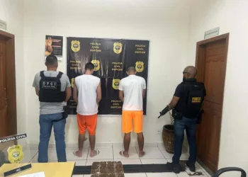 Desde o início de janeiro deste ano, foram cumpridos oito mandados de prisão e quatro de internações provisória.  Foto: Assessoria
