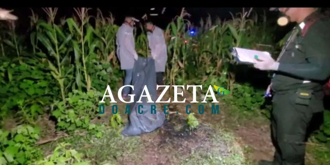 Acreano desaparecido é encontrado morto dentro de milharal no interior do Amazonas