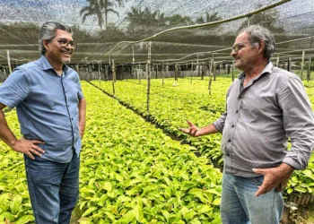 Deputado Edvaldo Magalhães destaca potencial da cafeicultura no Acre