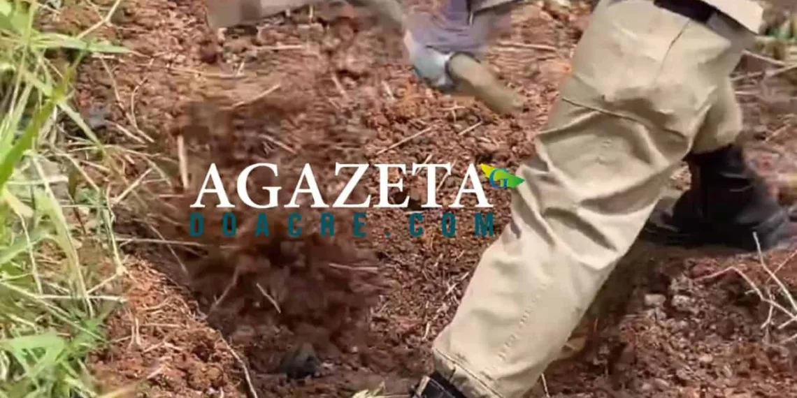 Moradores do Habitasa encontram corpo enterrado em região de mata