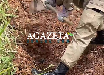 Moradores do Habitasa encontram corpo enterrado em região de mata