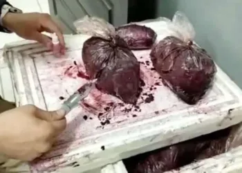 VÍDEO: Traficante é preso com 25 quilos de cocaína dentro de sacos de açaí no Quinari