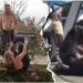 ASSISTA: Chilenos brigam no meio da rua e param trânsito no Acre
