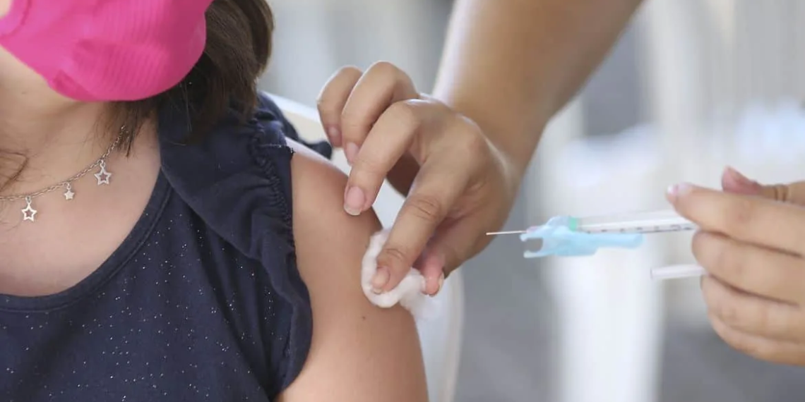 Estado recebe capacitação do Ministério da Saúde e OPAs sobre metodologias de vacinação