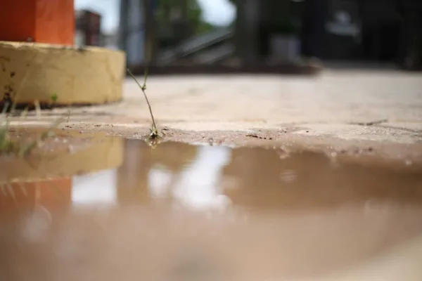 Acre mobiliza mais de 560 escolas e 116 mil alunos em campanha nacional contra a dengue