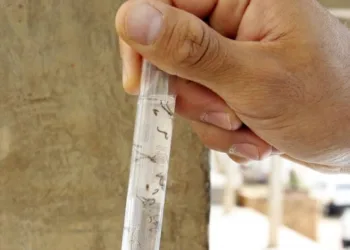 Casos suspeitos de dengue aumentam 140% no Acre em 2025; três mortes foram confirmadas