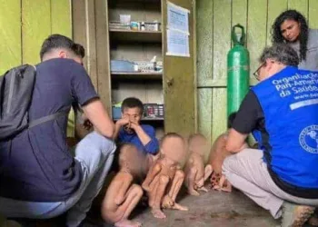 Foto: Divulgação/Conselhos Distritais de Saúde Indígena (Condisi)