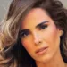 "Constrangimento", diz Wanessa Camargo após polícia parar show