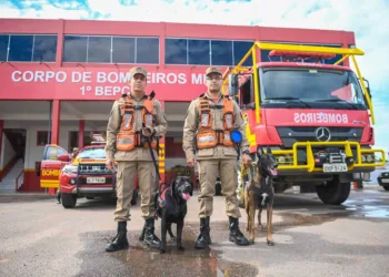 O terceiro-sargento Arryson Oliveira e o sargento Juliano Elias Pereira posam junto aos animais. Foto: Diego Gurgel/Secom