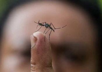 Em 2023, incidência de casos de dengue já ultrapassa mil notificações no Acre