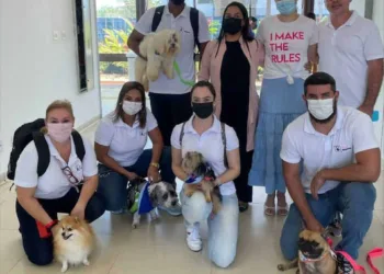 Projeto acreano com cães terapeutas é destaque na imprensa nacional; veja vídeo