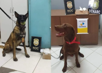 Foto: Assessoria Polícia Civil