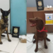 Foto: Assessoria Polícia Civil
