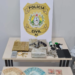 Polícia Civil prende sete pessoas e apreende armas, munições e drogas em Cruzeiro do Sul 