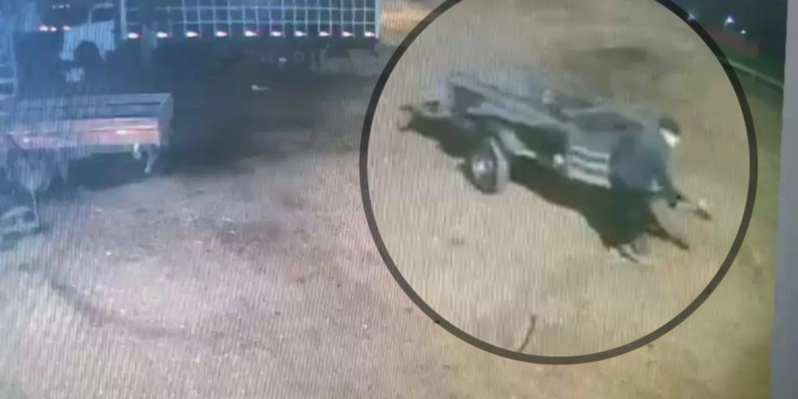 Empresário oferece R$ 1 mil para quem encontrar 'carretinhas' de transporte roubadas em Rio Branco