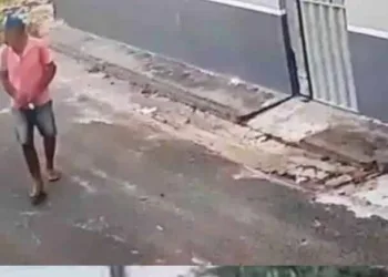 Idoso é acusado de envenenar cadela em Cruzeiro do Sul e câmeras registram ação; veja o vídeo