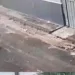 Idoso é acusado de envenenar cadela em Cruzeiro do Sul e câmeras registram ação; veja o vídeo