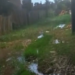Moradora do Belo Jardim denuncia esgoto a céu aberto: ‘é um absurdo’
