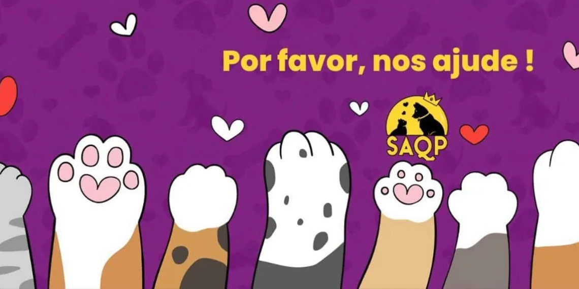 Bazar de Carnaval arrecada recursos para ONG de resgate de animais neste sábado, 11
