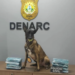 Cão policial encontra mais de 8kg de drogas escondidos em saco de farinha no Acre