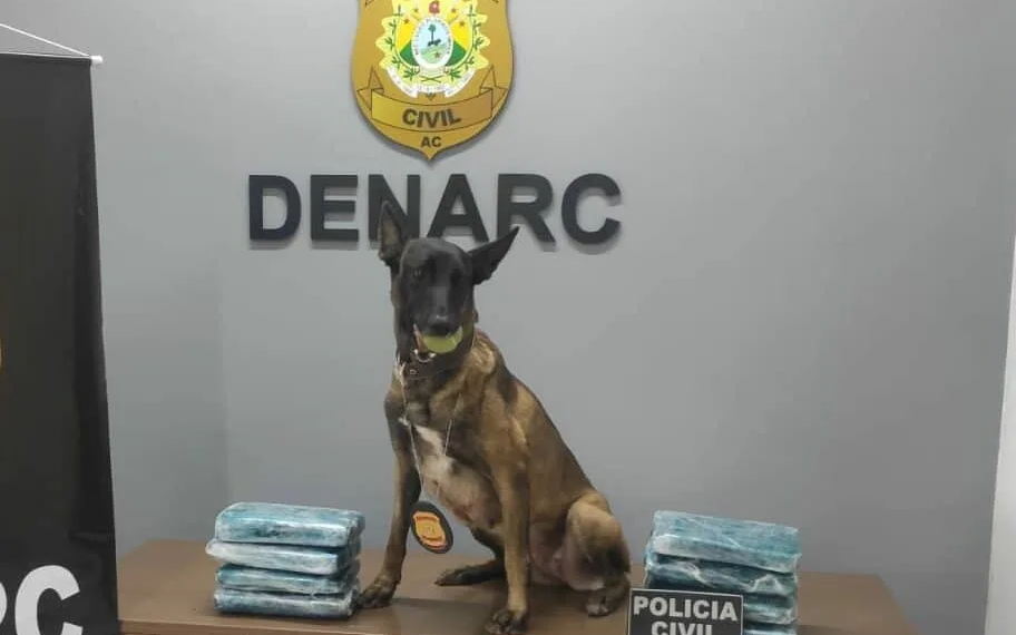 Cão policial encontra mais de 8kg de drogas escondidos em saco de farinha no Acre