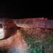 Motorista de carreta perde o controle do veículo e sai da pista na BR-364
