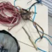 Bandido foragido é preso após furtar fios de semáforo no Bosque