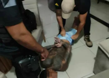 Criminosos que sequestraram médico e roubaram carro de luxo são presos pela Polícia Civil
