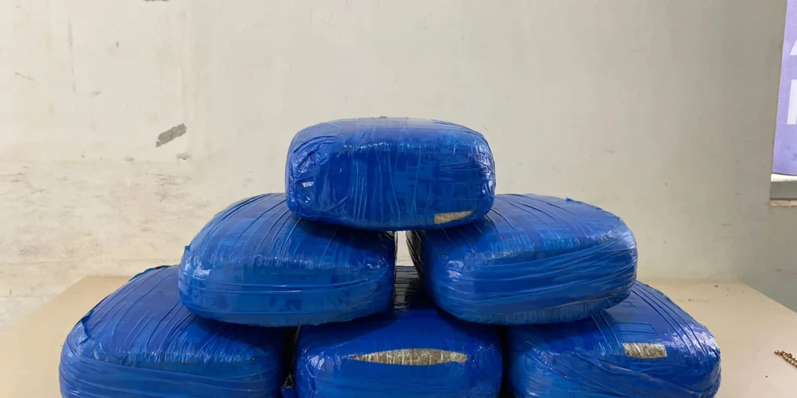 Mulher é presa transportando 6 quilos de maconha em ônibus na BR-364
