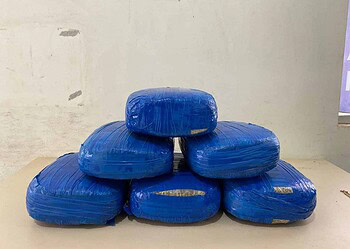 Mulher é presa transportando 6 quilos de maconha em ônibus na BR-364