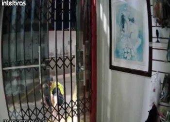 Morador de rua invade sex shop e furta kits eróticos no Parque da Maternidade; veja vídeo