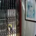Morador de rua invade sex shop e furta kits eróticos no Parque da Maternidade; veja vídeo
