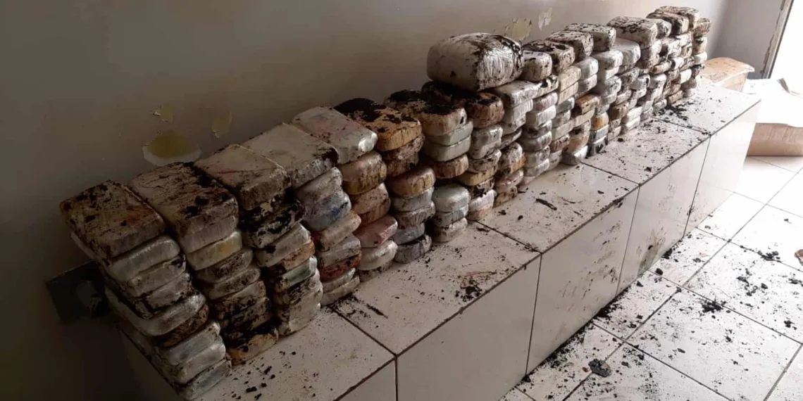 Grupo de traficantes é preso com mais de 160kg de drogas em Rio Branco
