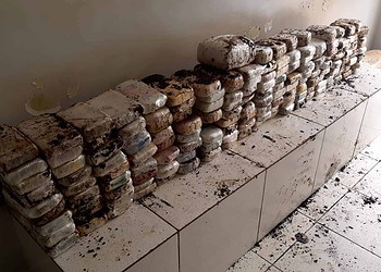 Grupo de traficantes é preso com mais de 160kg de drogas em Rio Branco