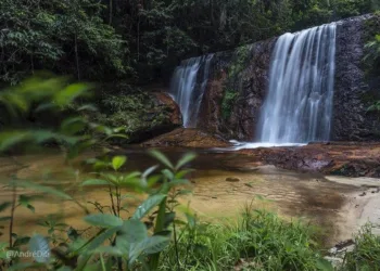 Observatório Socioambiental do Acre lança site nesta sexta, 3