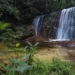 Observatório Socioambiental do Acre lança site nesta sexta, 3