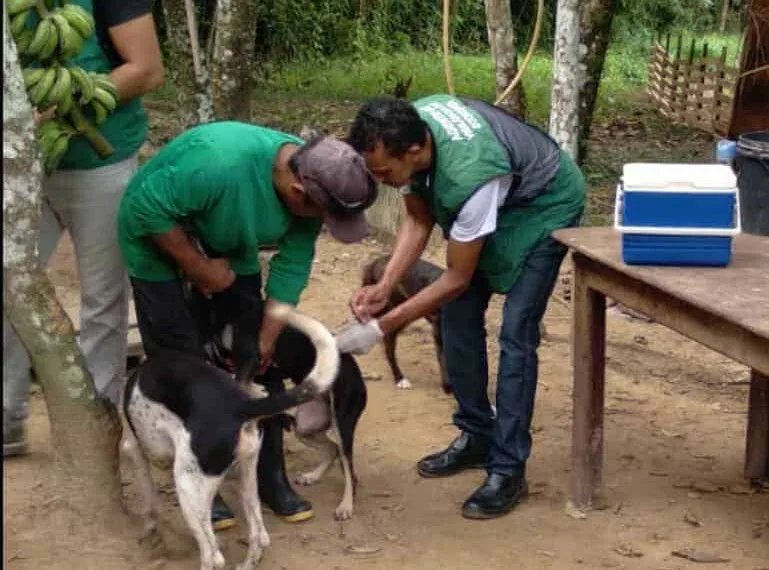 Prefeitura inicia campanha de vacinação antirrábica em comunidades ribeirinhas de Rio Branco