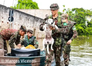 Fotógrafo acreano registra resgate de animais feito por homens do Exército