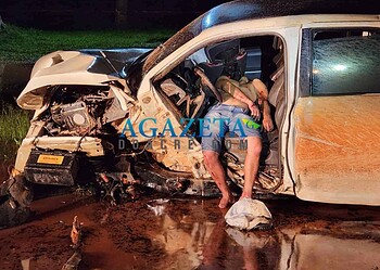 Homem perde controle de caminhonete, colide contra árvores e capota várias vezes na BR 317