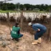 Acre registra casos de raiva no interior; mais de 50 animais já morreram