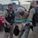 Idoso de 73 anos é preso após ameaçar mototaxista por causa do valor cobrado pela corrida