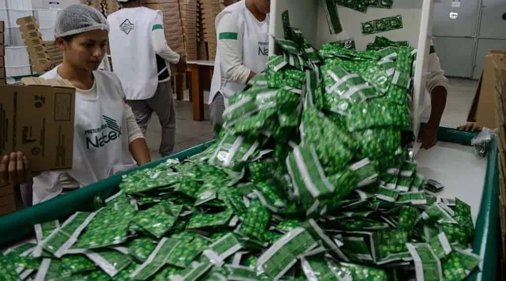 O empreendimento, inaugurado em 2004, enfrentou dificuldades, e durante a pandemia acabou paralisando suas atividades. Atualmente, a indústria é coligada à Agência de Negócios do Acre (Anac).