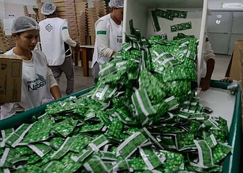 O empreendimento, inaugurado em 2004, enfrentou dificuldades, e durante a pandemia acabou paralisando suas atividades. Atualmente, a indústria é coligada à Agência de Negócios do Acre (Anac).