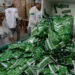 O empreendimento, inaugurado em 2004, enfrentou dificuldades, e durante a pandemia acabou paralisando suas atividades. Atualmente, a indústria é coligada à Agência de Negócios do Acre (Anac).