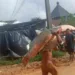 Morador do Juruá fisga peixe de quase 80 quilos no Rio Môa